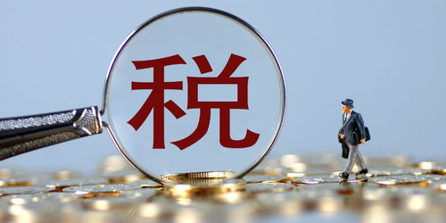 稅務總局王軍 要注重多運用兼顧法理情的審慎包容監管